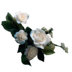 flores