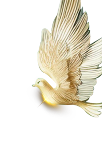 dove