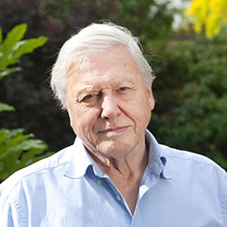 Sir David Attenborough